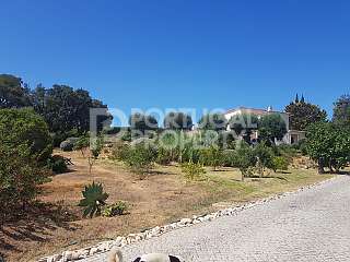 5 Chambre Villa à  Lagoa,  Western Algarve