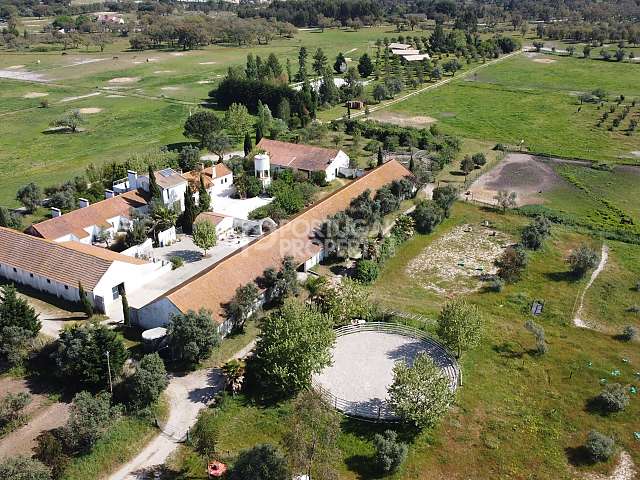 Equestrian Property, A Dream Come True! Horses, Houses And Glamping, Near Lisbon.