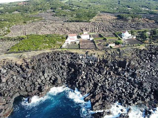 Detached Villa with Vineyard Land to the Sea Cliffs, São Mateus - Pico Island