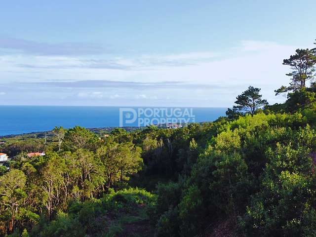 Neuf vastes terrains avec vue sur la mer pour le développement Candelária, Madalena - Pico Island