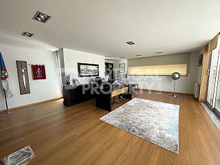 Extraordinary Villa In Aveiro