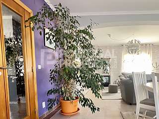 4-Bedroom Villa With Heated Pool In Beautiful São Martinho Do Porto