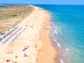 Apartamentos T1 e T2 modernos e inteligentes a dois passos de Tavira