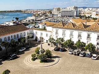 Urban Elegance Meets Nature Apartments In Faro