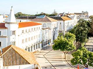 Urban Elegance Meets Nature Apartments In Faro