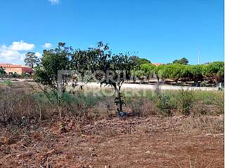 Land Near Obidos & Ocean With Planning Permission