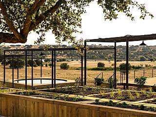 阿连特茹别墅带游泳池和度假村特权