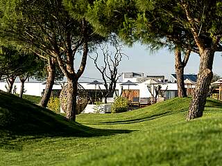 阿连特茹别墅带游泳池和度假村特权