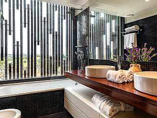 阿连特茹别墅带游泳池和度假村特权