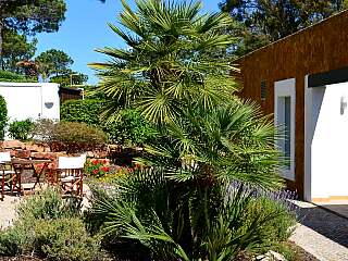 Vale do Lobo带泳池海景出租住宅