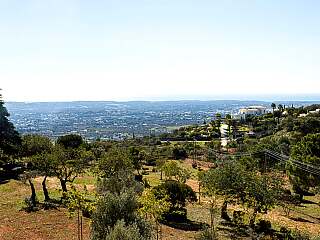 阿尔加维豪华租赁住宅,带游泳池和异国风情花园