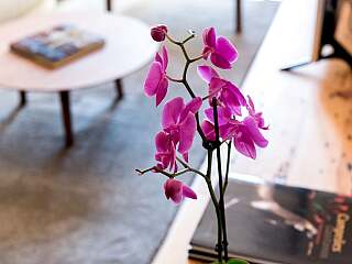 Appartement de luxe d'une chambre à Lisbonne, Chiado