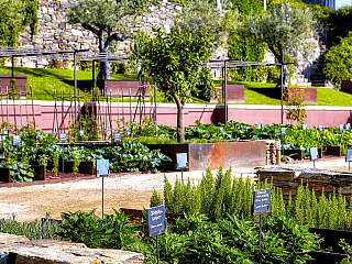 Villa privée d'une chambre à coucher dans le Douro avec piscine