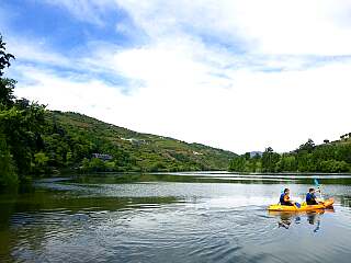 Villa privée d'une chambre à coucher dans le Douro avec piscine