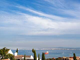 阿尔法马里斯本一卧室公寓