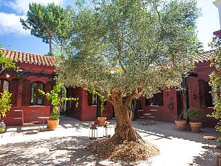 Quinta do Lago豪华传统住宅