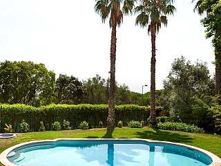 里斯本观光文化者的宁静乐园