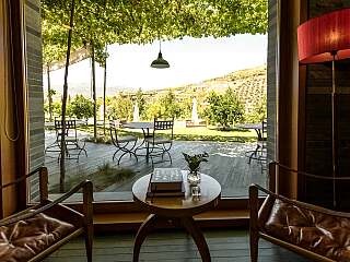 杜罗山谷撤退,静谧与美酒争奇斗艳