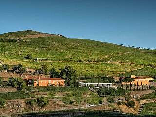 杜罗山谷撤退,静谧与美酒争奇斗艳