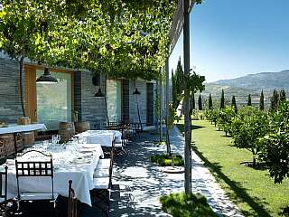 杜罗山谷撤退,静谧与美酒争奇斗艳