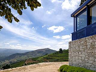 Superbe manoir du 18e siècle avec vignobles