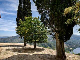 Superbe manoir du 18e siècle avec vignobles