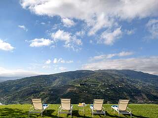 Superbe manoir du 18e siècle avec vignobles