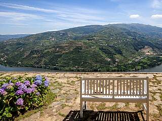 Superbe manoir du 18e siècle avec vignobles