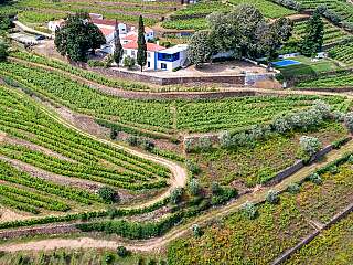 Superbe manoir du 18e siècle avec vignobles