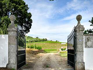 Superbe manoir du 18e siècle avec vignobles