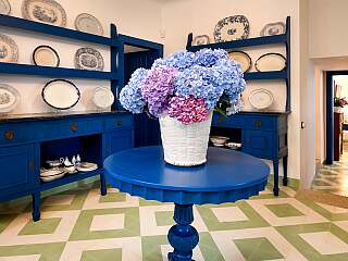 Superbe manoir du 18e siècle avec vignobles